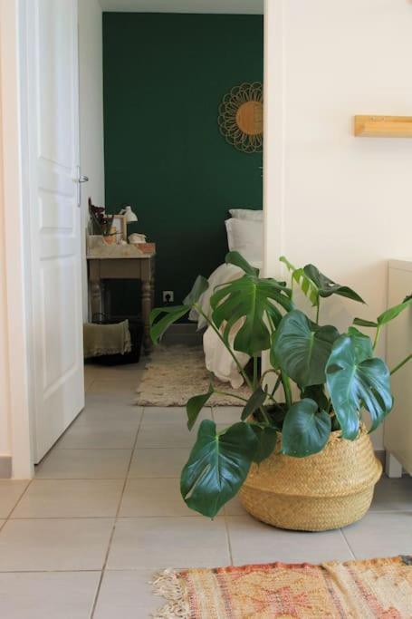 Cosy Appartement Entre Vignes Et Garrigue Avec Piscine Péret Exterior photo